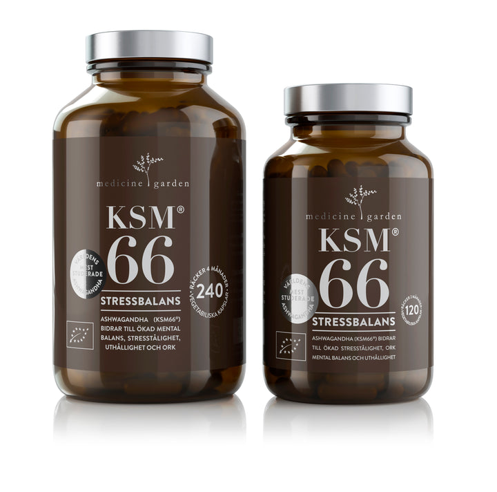 MedicineGarden KSM 66, 240 KAPSLAR