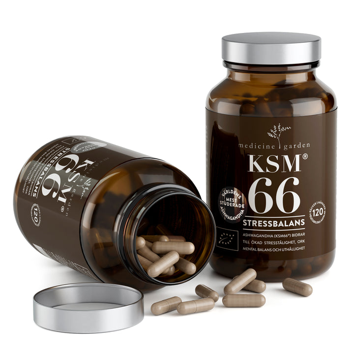 MedicineGarden KSM 66, 240 KAPSLAR