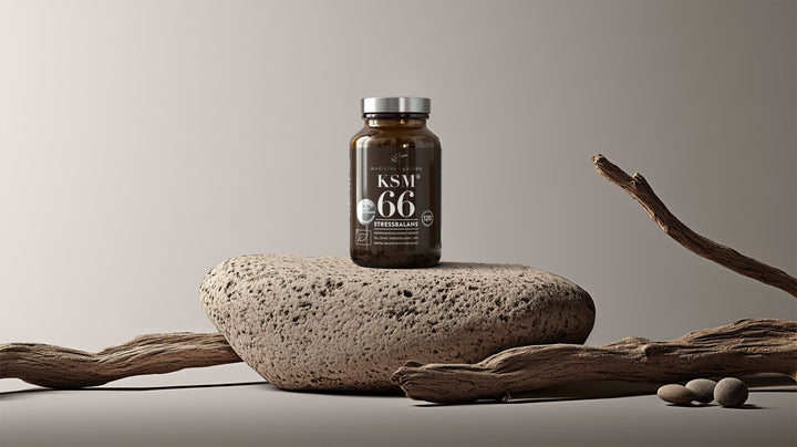 MedicineGarden KSM 66, 240 KAPSLAR