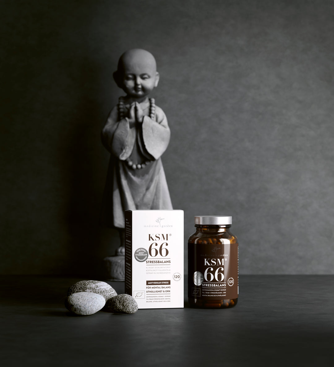 MedicineGarden KSM 66, 240 KAPSLAR