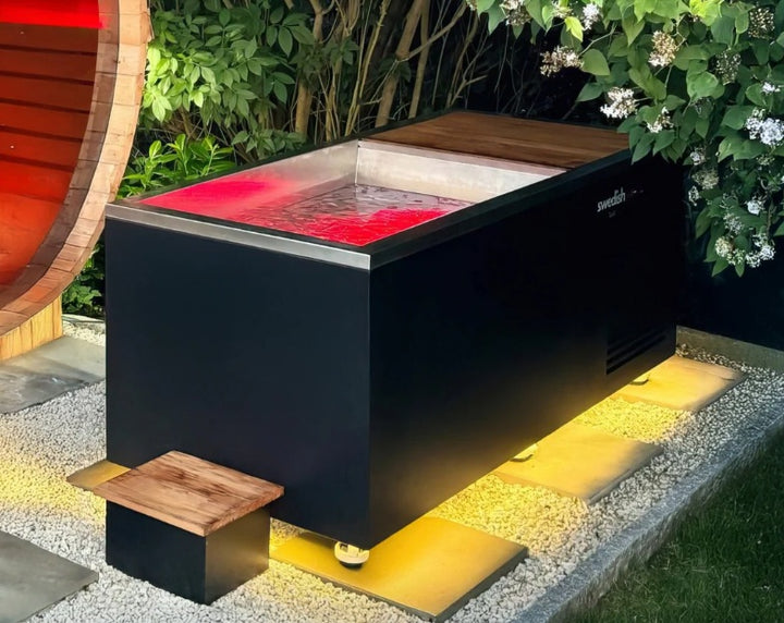 Swedish Cold Generation 5 - Isbad