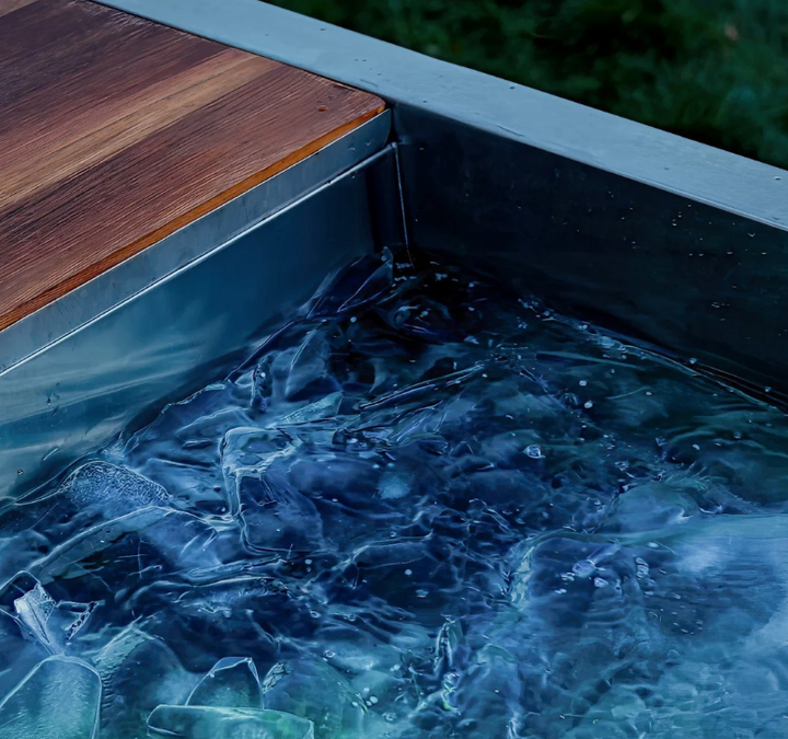 Swedish Cold Generation 5 - Isbad